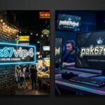 pak67vip4 game